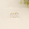 The Amara Studs